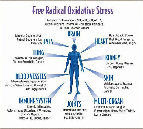 About Oxidative stress