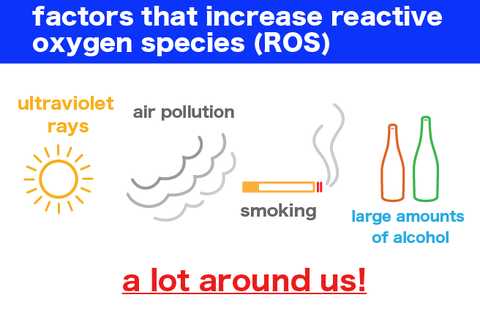 What are the factors that increase reactive oxygen species (ROS), the source of oxidative stress?
